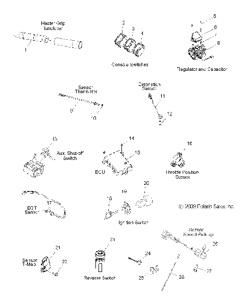 ELECTRICAL, SWITCHES, SENSORS and COMPONENTS - S09PL8ES/EE (49SNOWELECT09ASSAULT)