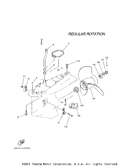 LOWER CASING DRIVE 2