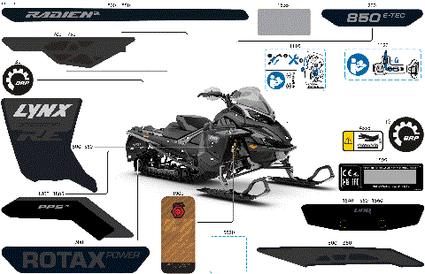 07- Body - Decals