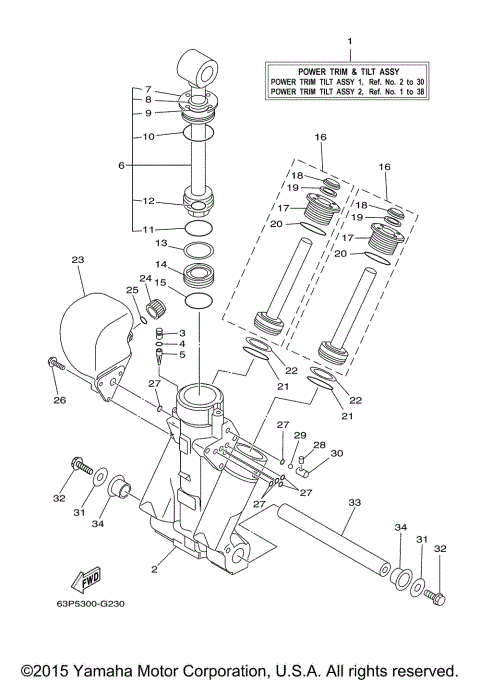 POWER TRIM TILT ASSY 1