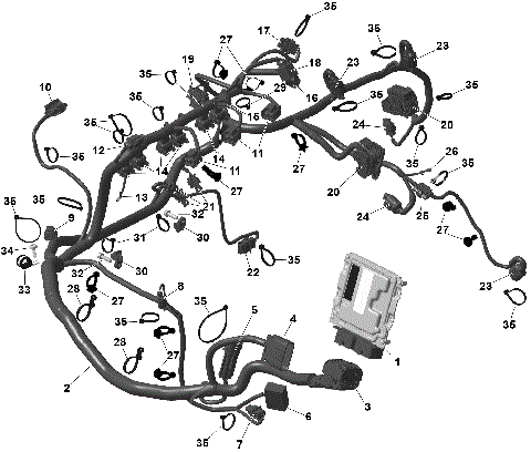 01- ROTAX - Engine Harness And Electronic Module