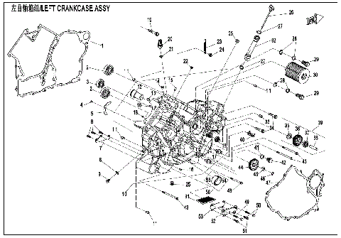 LEFT CRANKCASE ASSY