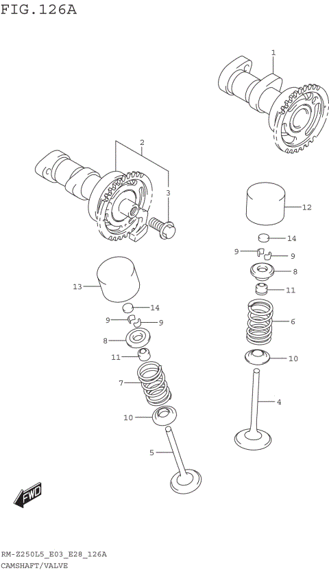CAMSHAFT/VALVE