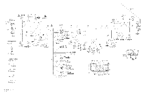 10- Main Harness Europe XTP