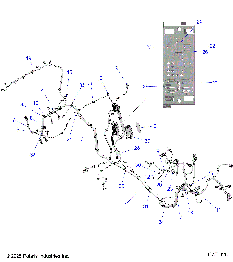 ELECTRICAL, WIRE HARNESS(FROM 1.1.2026) - Z26NMX99A4/A6 (C750925)