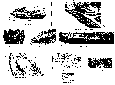 09- Decals (29S1314b)