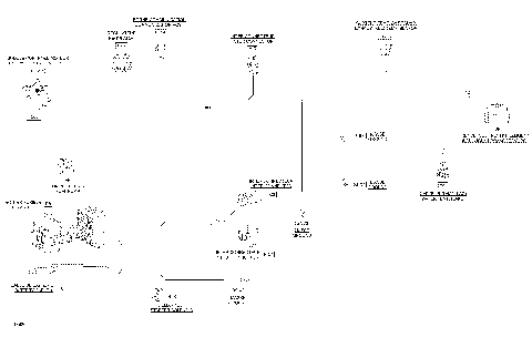 10- Electrical Harness Main 278003815