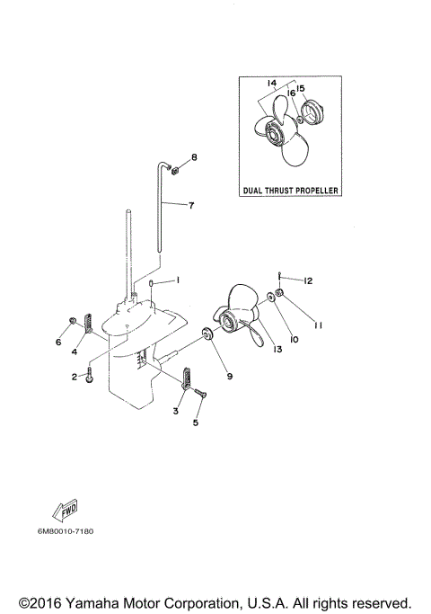 LOWER CASING DRIVE 2