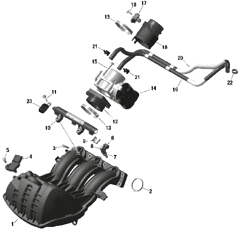 01- ROTAX - Air Intake Manifold And Throttle Body