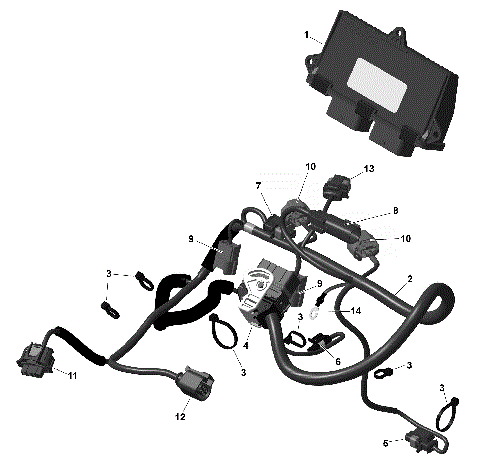01- ROTAX - Engine Harness And Electronic Module