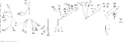 10- Electrical Harness Main Harness