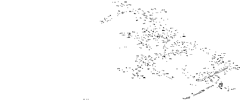 08- Rear Suspension Shocks Rave - 850 E-TEC
