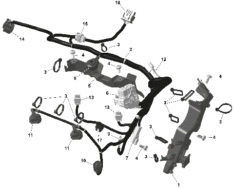 01- ROTAX - Engine Harness And Electronic Module