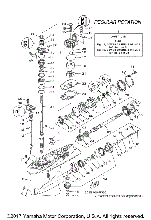 LOWER CASING DRIVE 1