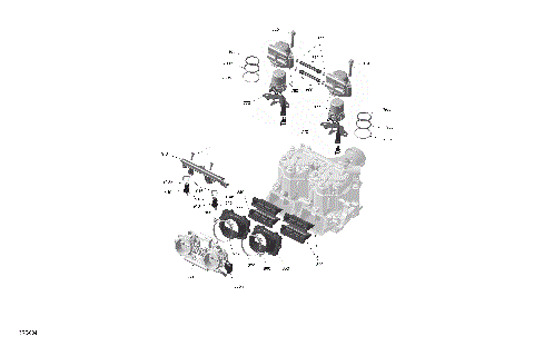 01- ROTAX - Electronic Fuel Injection