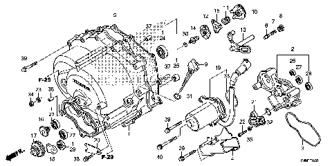 FRONT CRANKCASE COVER