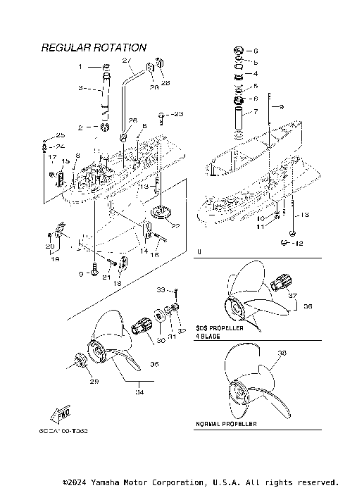 LOWER CASING DRIVE 2