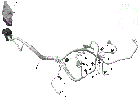 01- ROTAX - Engine Harness And Electronic Module