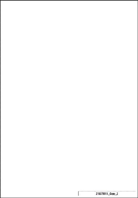 TECHNIC INFORMATION STICKER