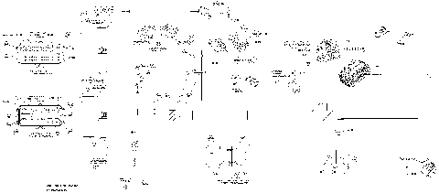 10- Electrical Harness 1