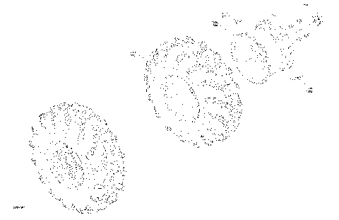 04- Drive - Rear Wheels