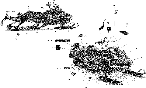09- Decals Commander - 800R E-TEC