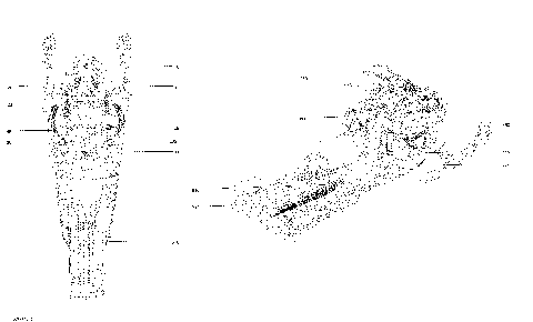 09- Decals - Package BURTON