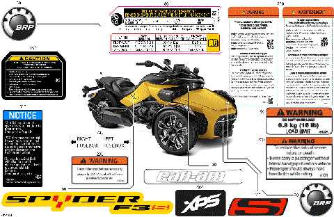 07- Body - Decals