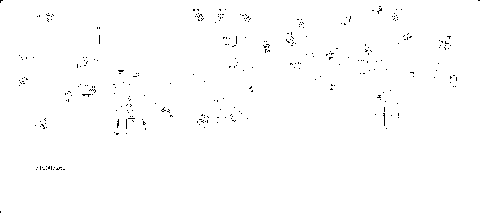 08- Electric - Main Harness - 710007262