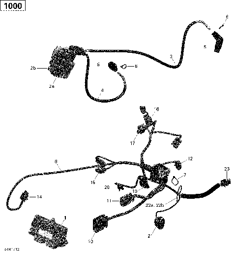 01- ROTAX - Engine Harness and Electronic Module