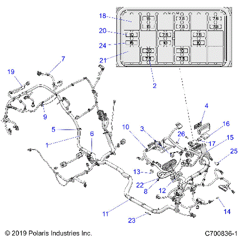 ELECTRICAL, WIRE HARNESS, TURBO S AND LE - Z21PAL92AL/AT/BL/BT (C700836-1)