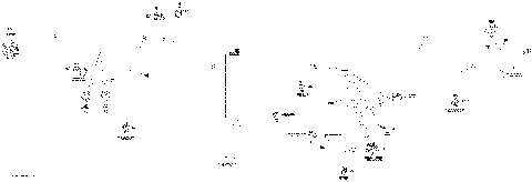 10- Electrical Harness 1