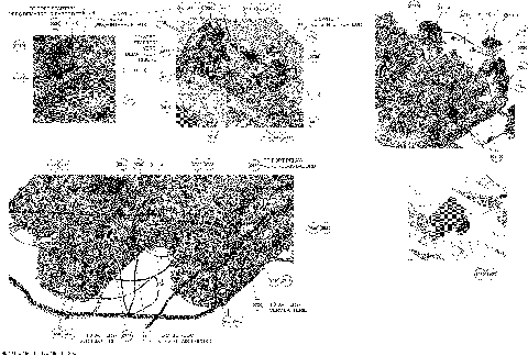 10- Electrical System Battery Compartment