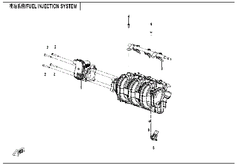 FUEL INJECTION SYSTEM