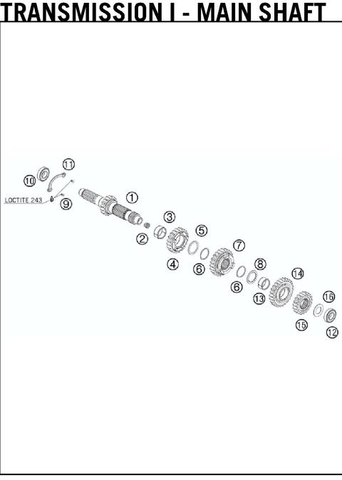 TRANSMISSION I - MAIN SHAFT