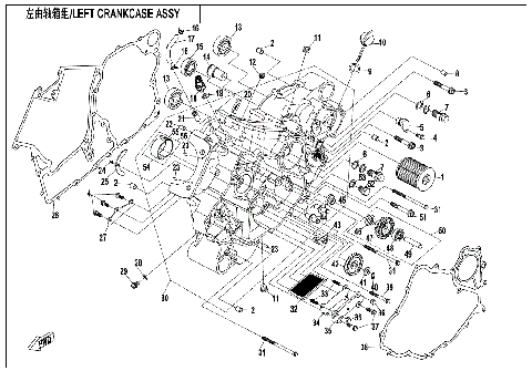 LEFT CRANKCASE ASSY