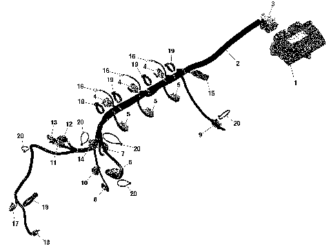 01- Rotax - Engine Harness And Electronic Module - With IDF