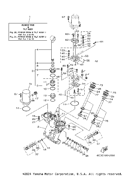POWER TRIM TILT ASSY 1