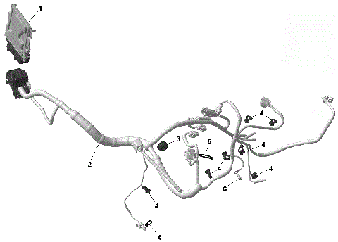 01- ROTAX - Engine Harness And Electronic Module