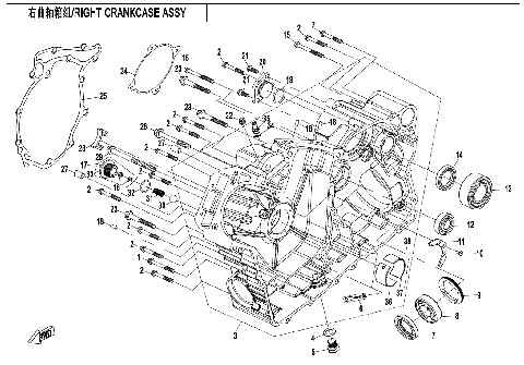 RIGHT CRANKCASE ASSY.