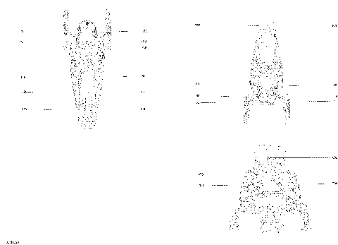 09- Decals - Package TNT