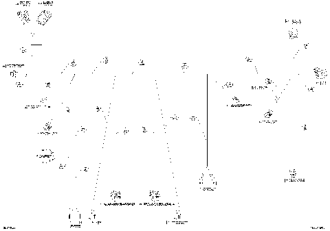10- Electrical Harness , Cargo