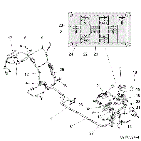 ELECTRICAL, WIRE HARNESS - Z19VFL92BG (C700394-4)