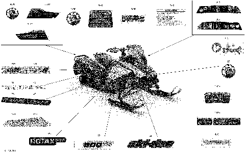 09- Body - Decals - Adrenaline