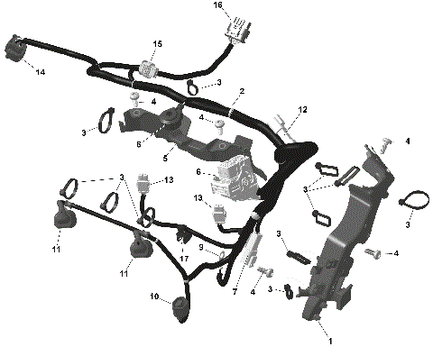 01- ROTAX - Engine Harness And Electronic Module