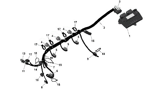 01- ROTAX - Engine Harness And Electronic Module