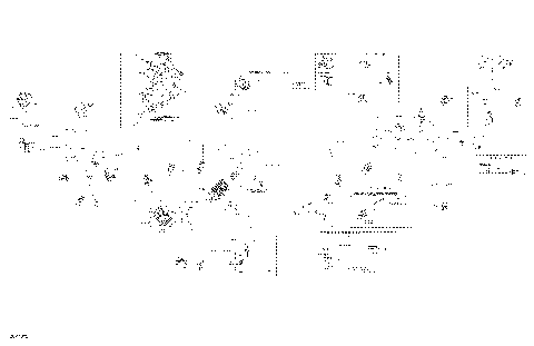 10- Main Harness - 515177988
