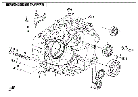 RIGHT CRANKCASE
