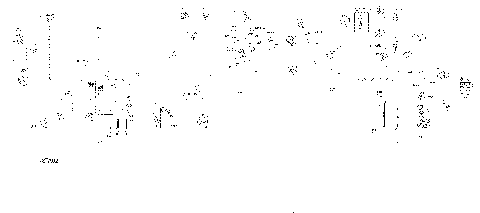 08- Electric - Main Harness - 710006709