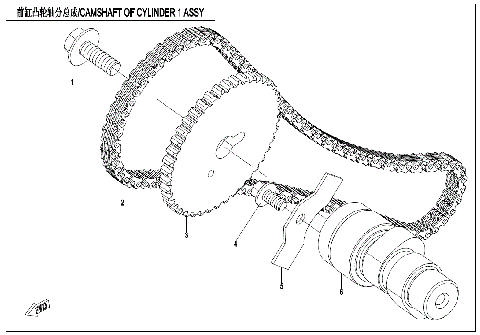 CAMSHAFT OF CYLINDER 1 ASSY